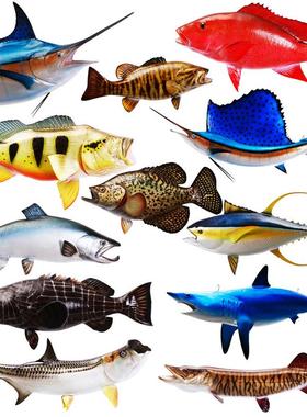 玻璃钢雕塑仿真鱼模型鲨鱼金枪鱼旗鱼三文鱼餐厅海洋主题吊挂装饰