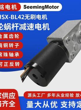 450JSX-BL42无刷电机 大扭矩马达轮涡轮蜗杆直流减速电机