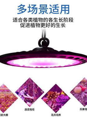 厂家大棚种植LED灯 Grow light 全光谱UFO飞碟200W植物生长灯