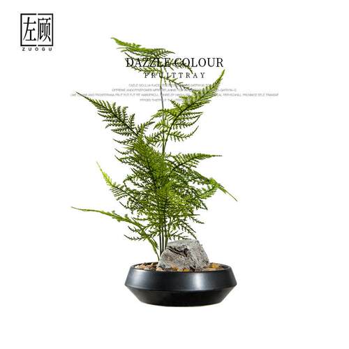 新中式仿真文竹植物盆栽微景观造景花几书房茶艺茶室案头绿植摆件