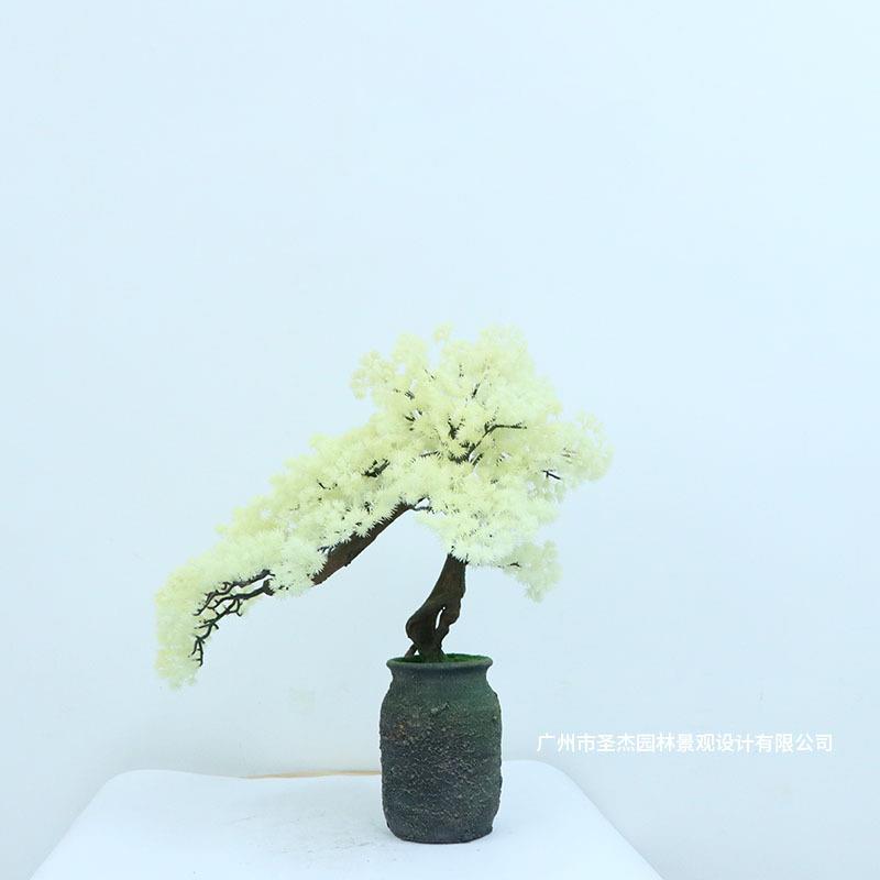 仿真米白幼松盆景摆件仿真植物中式仿真迎客松别送客厅书房装饰品