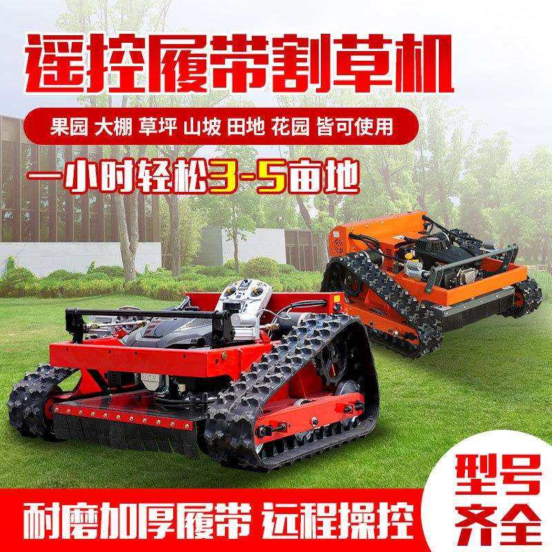 汽油机遥控割草机 果园大棚自走式多功能剪草机 燃油款草坪割草机,鲜花速递/花卉仿真/绿植园艺,割草机/草坪机,淘宝优惠券,粉丝福利购,淘宝优惠卷