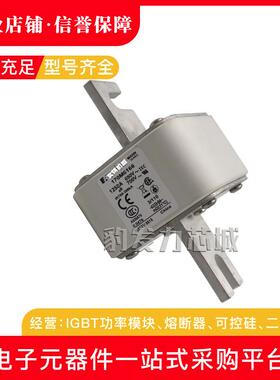 170M6196 170M6197 170M6198 170M6199 170M6200 170M6201熔断器