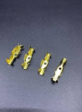 DJD029-2 汽车灯座连接器端子酸洗