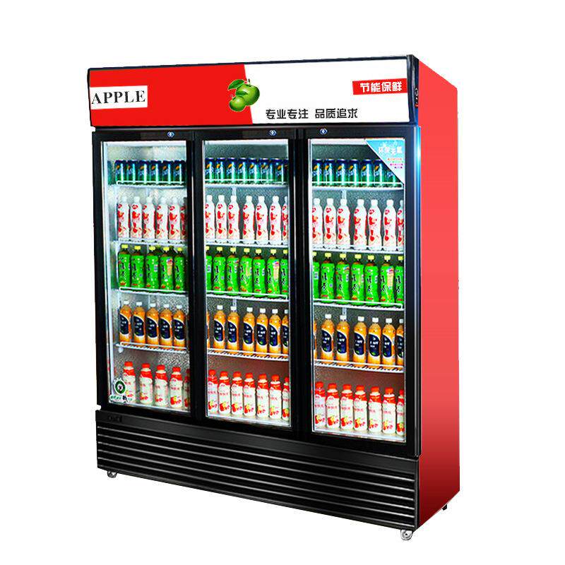 啤酒展示饮料柜水果冷藏柜商用门冰箱立式双门冷柜蔬菜保鲜冰柜