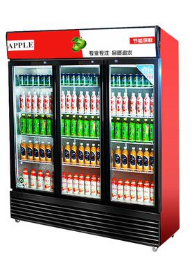啤酒展示饮料柜水果冷藏柜商用门冰箱立式双门冷柜蔬菜保鲜冰柜