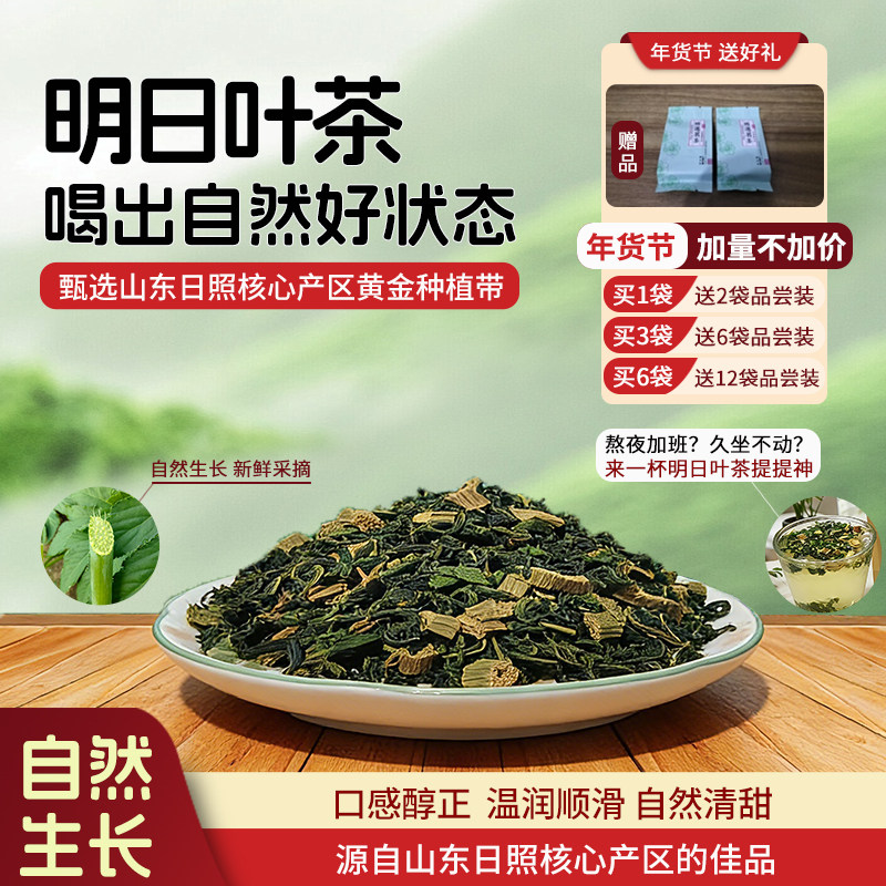 山东正宗明日叶茶正品核心产区种植养生茶食用干茎叶含查尔酮