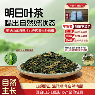 山东正宗明日叶茶正品核心产区种植养生茶食用干茎叶含查尔酮