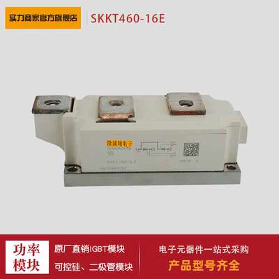 可控硅SKKT500/08E SKKT500/12E SKKT500/14E SKKT500/16E