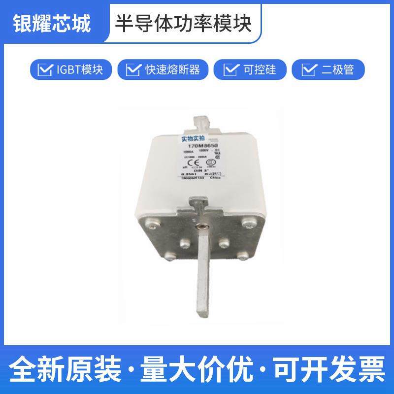 170M8650 限流式熔断器 保险丝 巴斯曼原装进口批次22+