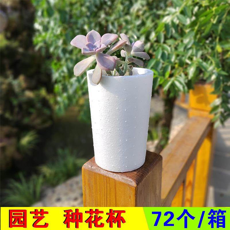 现代简约泡沫种花杯 多肉花卉室内阳台种植 园艺盆栽育苗装饰花盆,鲜花速递/花卉仿真/绿植园艺,割草机/草坪机,淘宝优惠券,粉丝福利购,淘宝优惠卷