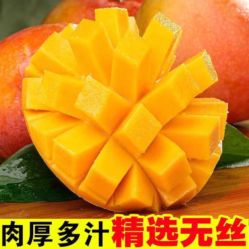 正宗黄金澳芒新鲜大芒果应季现摘甜心芒苹果芒热带水果整箱包邮