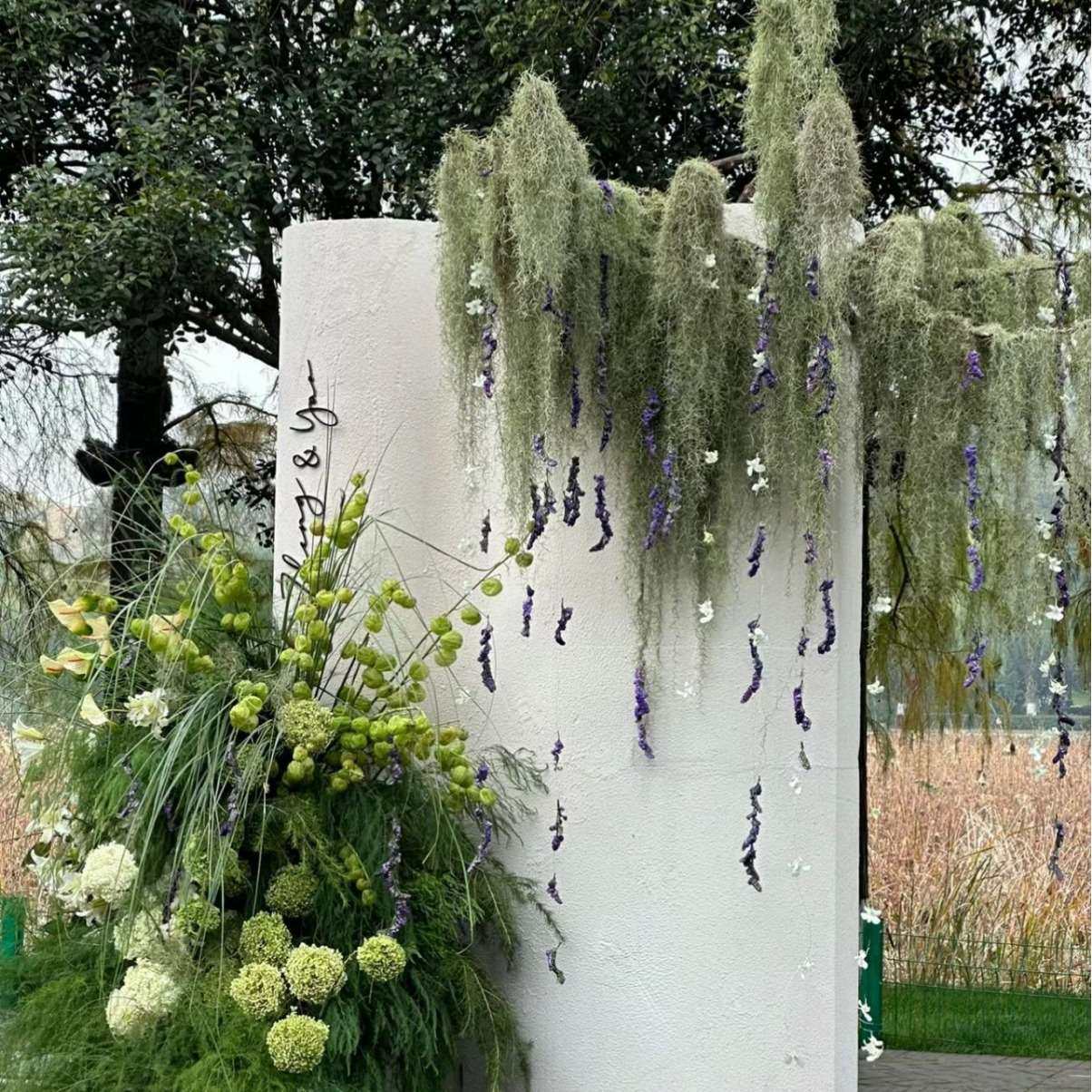 松萝老人须 厂家直供空气凤梨无土植物婚礼鲜花婚庆布置