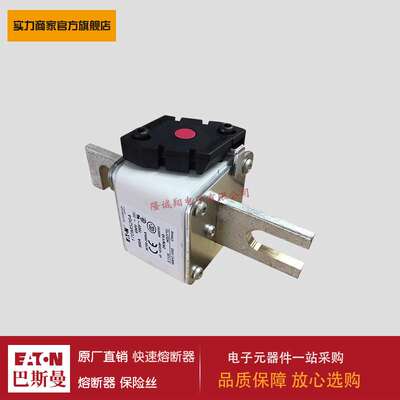 熔断器170M5261 170M5262 170M5263 170M5264 170M5265 170M5266