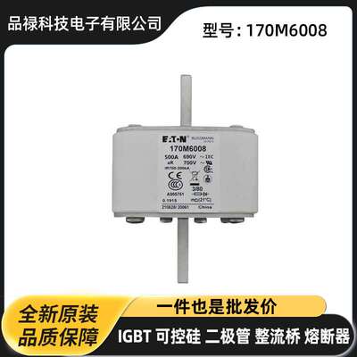 170M6008 170M6020 170M6080原装高压快速熔断器 保险丝阻燃直流