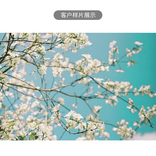 135电影卷5207彩色5219负片35mm胶片ECN2胶卷5294反转片E6幻灯片