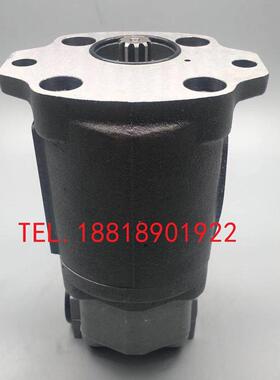 卡特CAT305.5 306D 307液压先导齿轮泵挖掘机尾泵AP2D25 AP2D36