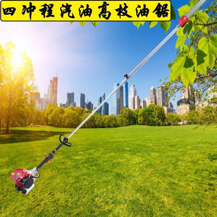 园林绿化伐条四冲程汽油高枝油锯 便捷式操作的充电式电动高枝锯