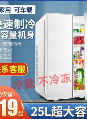 福瑞杰25L双制冷车载冰箱迷你小冰箱双门小型家用宿舍车家两用