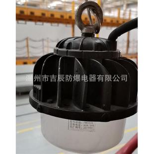 LED灯低压36V50W防眩泛光灯FW5836低压泛光灯球泡灯低压行灯