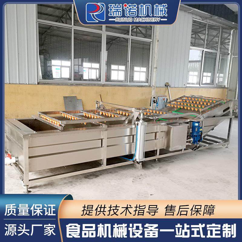果蔬气泡清洗机全自动翻浪提升式洗果机高压喷淋净菜加工流水线