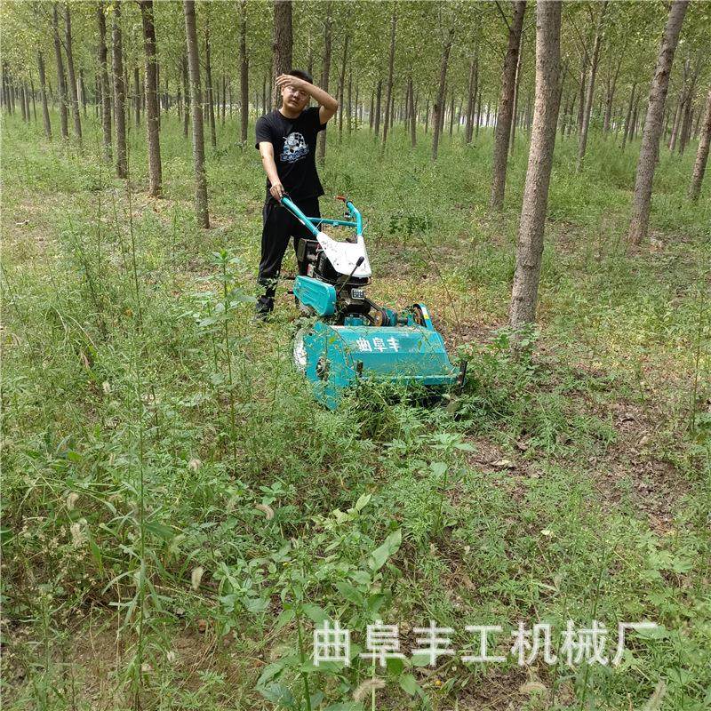 果园自走式割草机 农用手扶灭草机 大功率开荒除草还田机,农机/农具/农膜,割灌机/割草机/油锯,淘宝优惠券,粉丝福利购,淘宝优惠卷