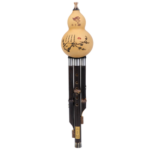 葫芦丝成人学生专业演奏型小d调c调降b调G调F调天然紫竹云南乐器