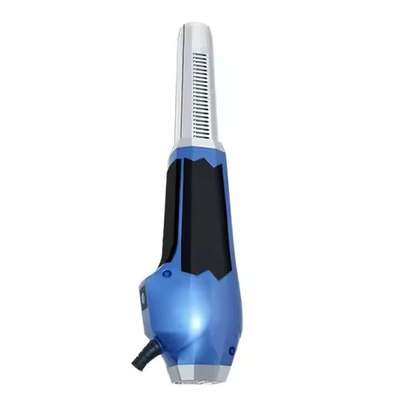 Prostate Therapy Pain Relief Therapy Terahertz 太赫兹小神吹