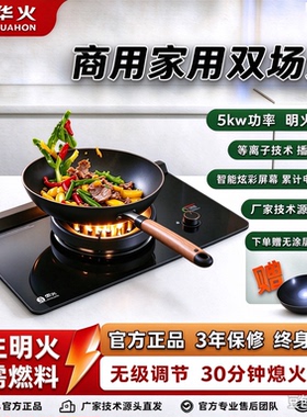 商用电火灶2026新款纯电新型
