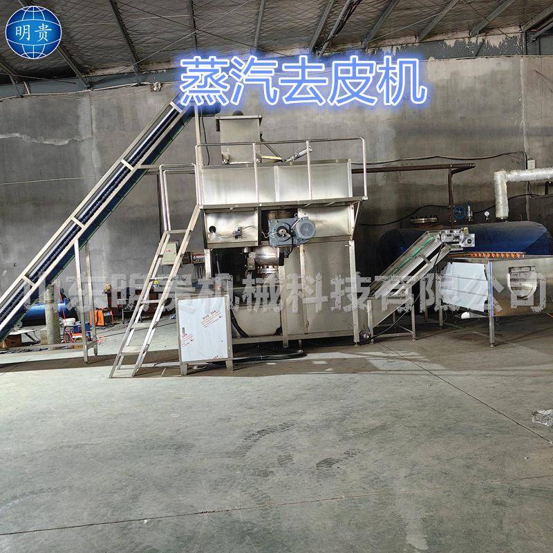 红薯芋头蒸汽去皮机连续剥皮机器土豆热烫脱皮设备