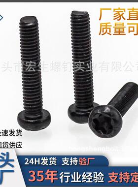 m2m3内梅花盘头发黑机牙螺丝 GB/T2677黑色花形槽螺丝防盗机丝钉