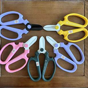 坂源花剪日本花艺剪刀sakagen园艺枝剪进口花艺师专用花店工具