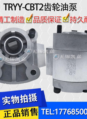 TRYY动力单元液压油泵CBT2-F202.5 F201.2 1.7汽车尾板配件齿轮泵