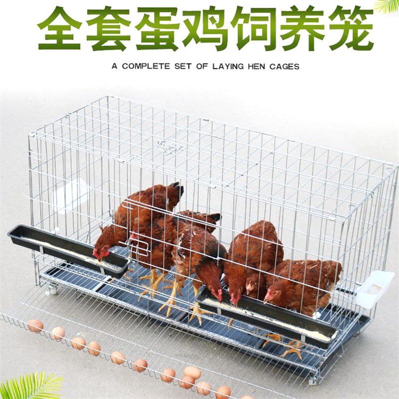 鸡笼滚蛋鸡笼加粗鸡笼子蛋鸡笼母鸡笼带蛋托鸡笼家用大笼子代发拍