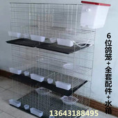 2位4位6位加粗鸽子笼阳台鸽笼养殖笼信鸽笼配对繁殖笼观赏鸽笼子