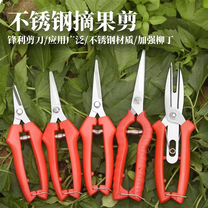 直销不锈钢摘果剪修枝葡萄花椒园林园艺剪枝果树采稀果剪窝型剪