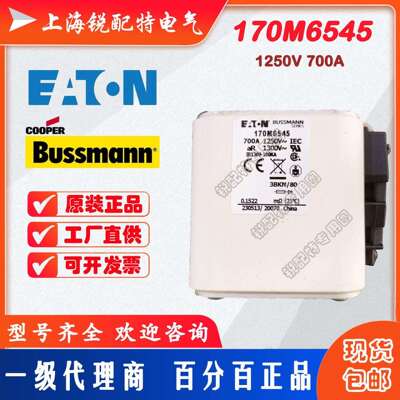 170M6545快速熔断器 1250V 700A 巴斯曼BUSSMANN快速熔断器