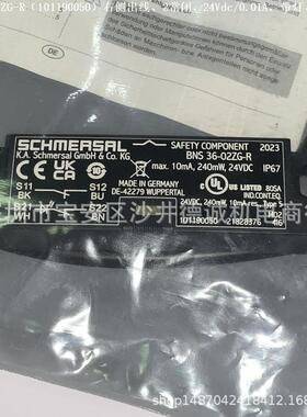 BNS 36-02ZG-R 101190050 磁性开关 2常闭、24Vdc、0.01A、电缆1m
