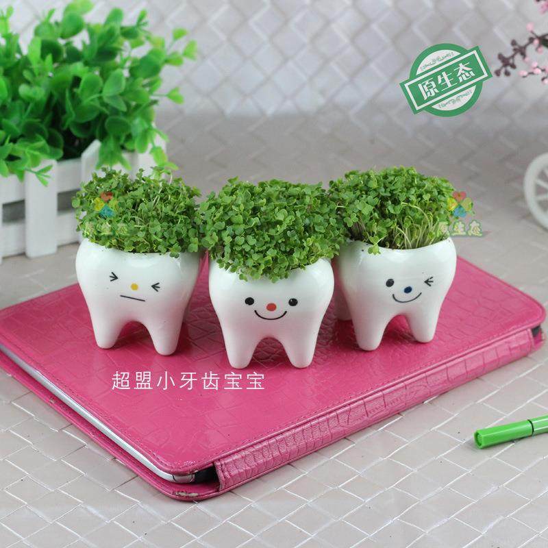 原生态DIY微景观草头娃娃陶瓷工艺品多肉盆栽家居办公摆件