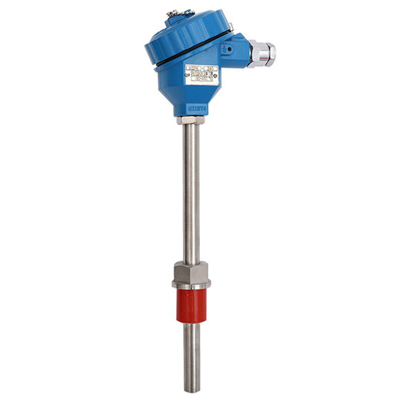 WZP2-240防爆热电阻WZP-200温度感测器pt100 dIICT4 0-250 G3/4