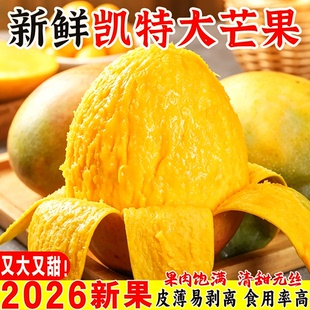 2026攀枝花凯特芒大芒果新鲜水果当季整箱甜心芒果新果青皮大澳芒