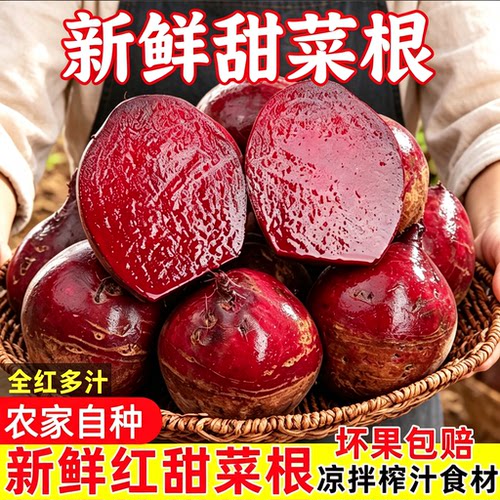 2026甜菜根红菜头新鲜现挖榨汁