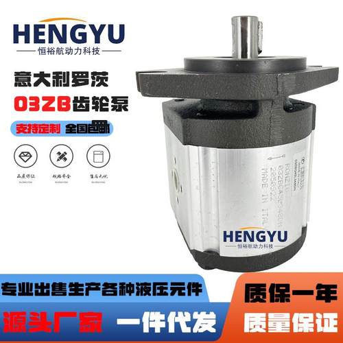 罗茨液压泵RONZIO齿轮泵03ZBG40L 03ZBG45L油泵压力高03ZAG40Q64D