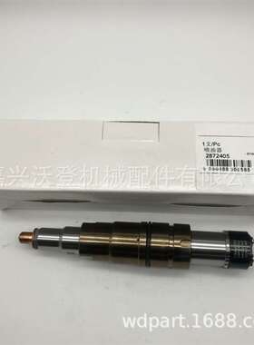 2872405 5579417PX 5579417喷油器用于康明斯 ISX 15