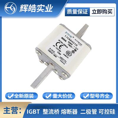 170M8635 170M8637 熔断保险丝 快速熔断器 电子元器件 辉皓实业