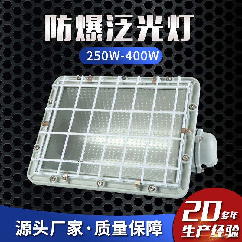 防爆泛光灯250W-400W灯分体式防爆金卤灯工厂灯投光灯防爆照明灯