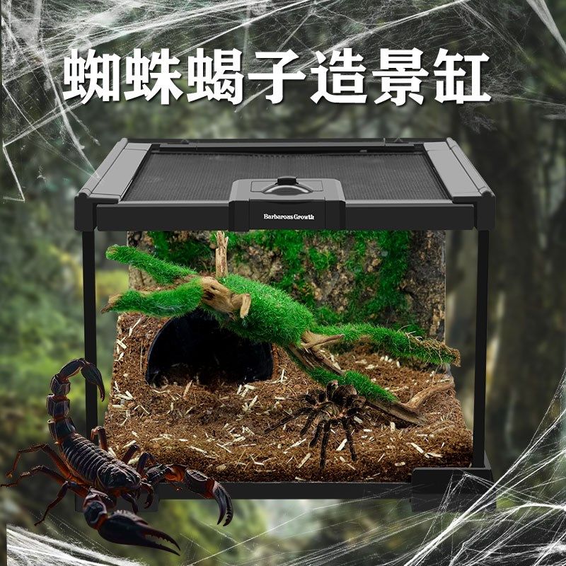 BG幼体蜘蛛饲养箱爬宠饲养缸雨林造景生态缸玻璃缸螳螂蝎子饲养盒