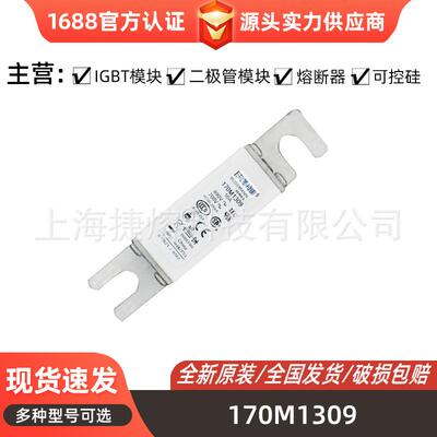 170M1309 170M1310 170M1312 直流熔断器 型号齐全 电子元器件
