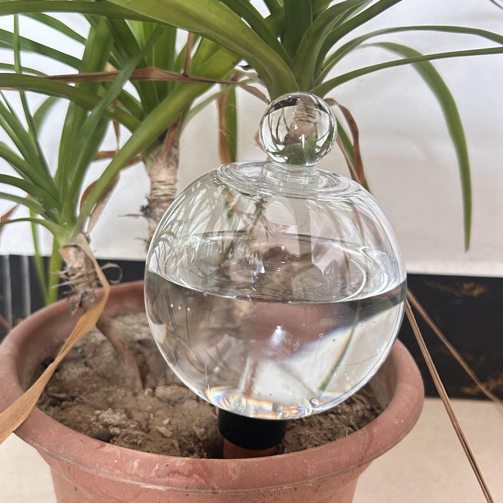新款彩色球泡带玻璃盖子浇花器多肉植物园艺小型自动渗水滴灌浇花