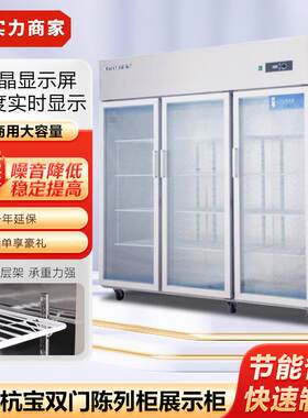 爱雪杭宝双门陈列柜大三门展示柜陈列柜冷藏冰箱点菜柜商用冷冻柜